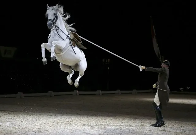 Riders and their horses of the Spanish Riding School of Vienna perform a dress rehearsal for the media at the SSE Arena in London, Britain November 10, 2016. (Photo by Peter Nicholls/Reuters)