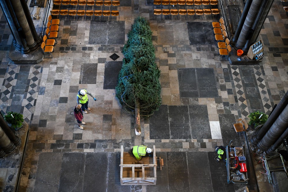 Pictures of the Year 2024, Part 224/2406