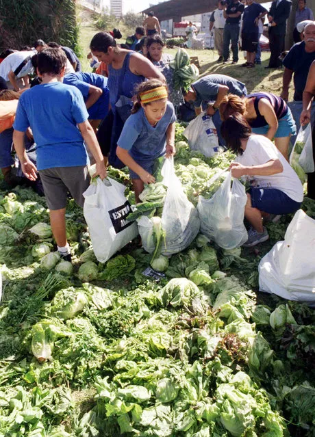 Locals ransack vegetables from a truck that overturned after skidding on a highway in Buenos Aires, Argentina March 10, 2004. (Photo by Reuters/Stringer)