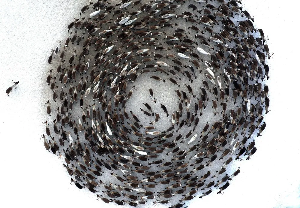 A Look at Life in Russia