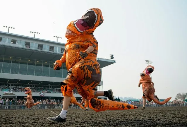 Alex Jones races in the second set of heats during the “T-Rex World Championship Races” at Emerald Downs, Sunday, August 20, 2023, in Auburn, Wash. (Photo by Lindsey Wasson/AP Photo)