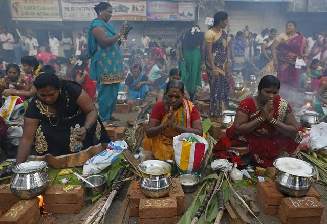 Devotees pray as they prepare ritual rice dishes to offer to the Hindu Sun God during Pongal celebrations at a slum in Mumbai, India, January 15, 2016. (Photo by Danish Siddiqui/Reuters)