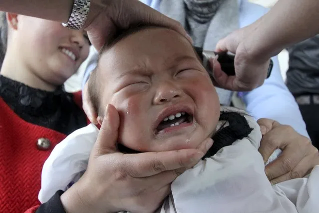 A child cries during a haircut at a barbershop on the Longtaitou Festival in Hefei, Anhui province March 21, 2015. Longtaitou, which means dragon raising its head, is a traditional Chinese festival held on the second day of the second month of the Chinese lunar calendar, which falls on Saturday this year. Many Chinese believe that getting a haircut on this festival is likely to bring good luck. (Photo by Reuters/China Daily)