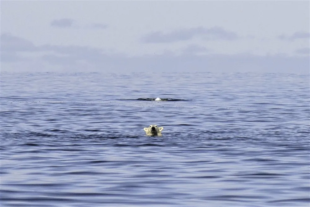 Pictures of the Year 2022, Part 092/163