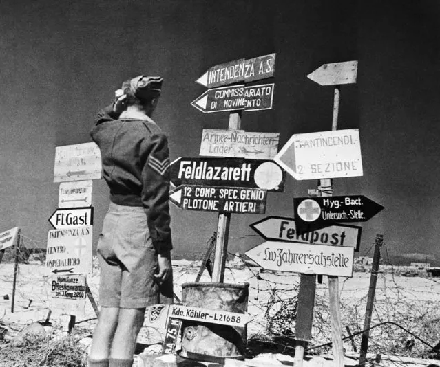 A British Soldier, following up the tanks, is somewhat perplexed by the multiplicity of German and Italian signs at the entrance to Mersa Matruh, December 8, 1942. (Photo by AP Photo)