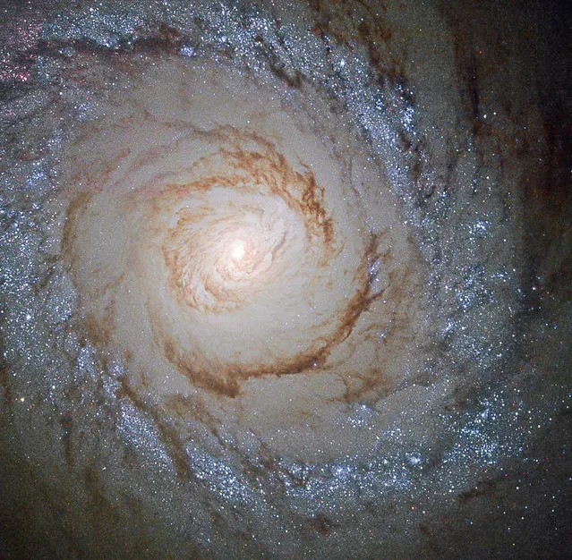 The galaxy Messier 94, which lies in the small northern constellation of the Hunting Dogs, about 16 million light-years away. Within the bright ring around Messier 94 new stars are forming at a high rate and many young, bright stars are present within it. (Photo by Reuters/NASA/ESA)