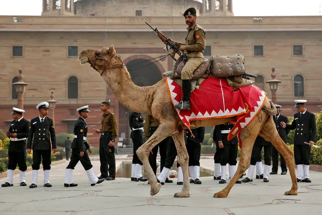 A soldier on camel back takes part in a rehearsal ahead of the Beating the Retreat ceremony in New Delhi, India January 24, 2017. (Photo by Cathal McNaughton/Reuters)