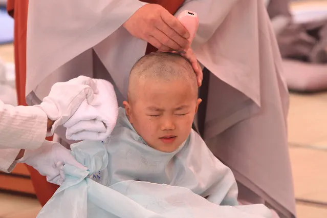 A child gets his head shaved by a Buddhist monk during the “Children Becoming Buddhist Monks” ceremony forthcoming buddha's birthday at a Chogye temple on May 11, 2015 in Seoul, South Korea. Children have their hair shaved off during the “Children Becoming Buddhist Monks” ceremony ahead of buddha's birthday at a Chogye temple. (Photo by Chung Sung-Jun/Getty Images)