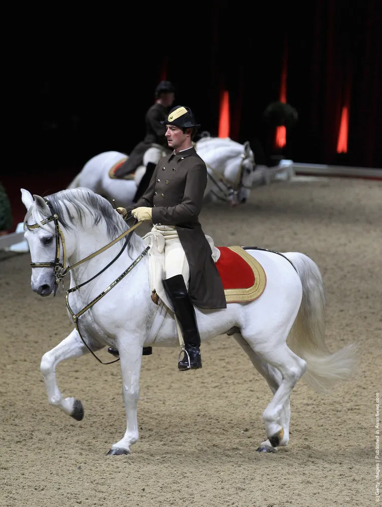 Spanish Riding School Of Vienna – Gala Performance