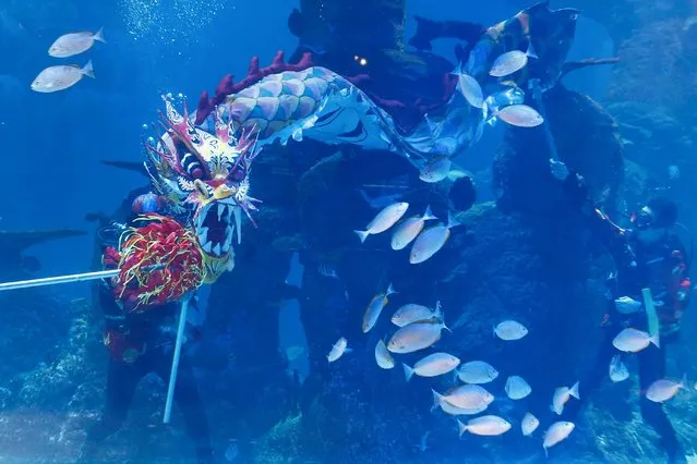 Divers perform an underwater dragon show at the Jakarta Aquarium and Safari ahead of the Chinese Lunar New Year in Jakarta, Indonesia, January 31, 2022. (Photo by Willy Kurniawan/Reuters)
