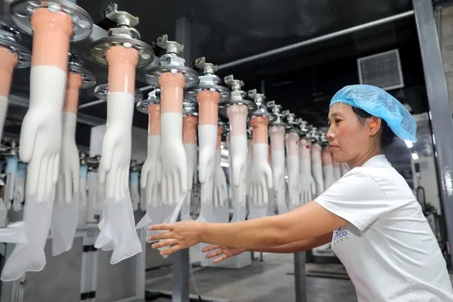 This photo taken on August 14, 2019 shows an employee working on a medical glove production line at a factory in Huaibei in China's eastern Anhui province. (Photo by AFP Photo/China Stringer Network)