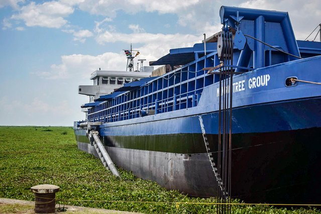 A photo taken on January 18, 2019, shows MV Mango Tree dredger as it lands at the Kisumu Port docks on Lake Victoria, western Kenya. The MV Mango Tree, is a dredger owned Mango Tree Group Limited, a Chinese company, which removes water weeds such as the water hyacinth plant and turns them into fertiliser for farming. Boats travelling along the lake and wanting to dock are slowed down by silting, pollution and weeds clogging the waterways. The thick green carpet of water hyacinth is choking again Kisumu bay, floating on the surface and blocking Kenya's main entry to the largest body of water in Africa. (Photo by Brian Ongoro/AFP Photo)