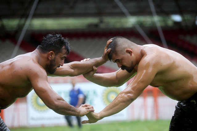 Wrestlers compete during the preliminary second round wrestles of the 663rd Historical Kirkpinar Oil Wrestling in Edirne, Turkiye on July 04, 2024. Due to the change of format in Kirkpinar by the Traditional Wrestling Federation of Turkiye, 23 chief wrestlers participated in the preliminary qualification, which was applied for the first time this year in the organization where athletes had the right to participate with league-style scoring for the first time in its history. (Photo by Ozgun Tiran/Anadolu via Getty Images)