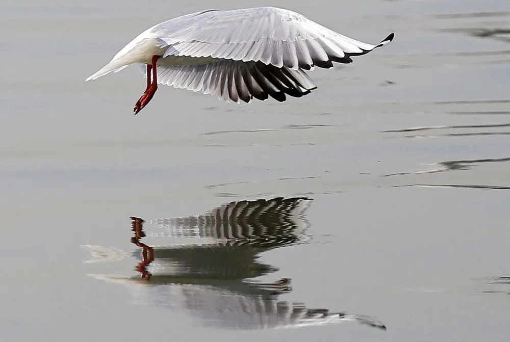 Some Photos: Reflection