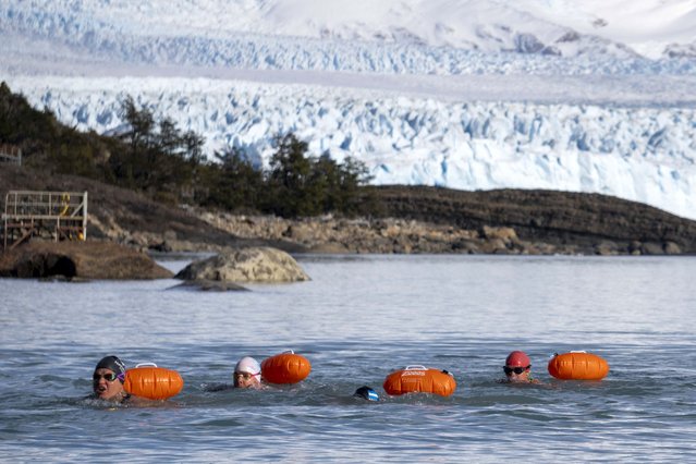 Swimmers compete during the Winter Swimming World Cup in front of the Perito Moreno Glacier at Los Glaciares National Park in El Calafate, Santa Cruz province, Argentina, on August 13, 2024. The competition, featuring more than 100 swimmers from 14 countries, is the first stage of the IWSA World Cup. (Photo by Walter Diaz/AFP Photo)