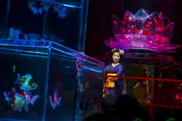 A Maiko, an apprentice geisha, performs a traditional dance in front of a tank with goldfish at the Art Aquarium exhibition in Tokyo July 27, 2015. (Photo by Thomas Peter/Reuters)