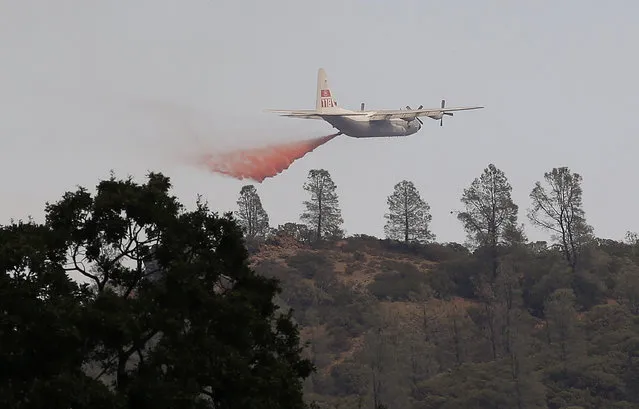 An air tanker drops fire retardant near Lower Lake, Calif., Friday, July 31, 2015. (Photo by Jeff Chiu/AP Photo)