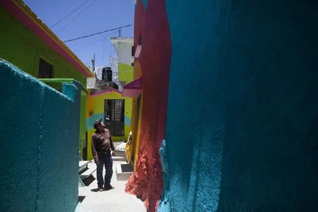 Alfonso Santiago Reyes looks up at the newly painted facade of his home that is part of a government-sponsored project called Pachuca Paints Itself, in the Palmitas neighborhood of Pachuca, Mexico, Thursday, July 30, 2015. “The neighborhood looks better than before and the colors make people happy”, said Reyes. The painters are from the artist collective German Crew. (Photo by Sofia Jaramillo/AP Photo)