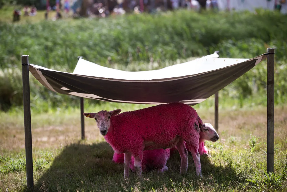 The Day in Photos – July 18, 2016