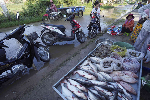 Local vendors sell fish and other foods at a morning market in Prey Popel village, outside Phnom Penh, Cambodia, Thursday, October 17, 2024. (Photo by Heng Sinith/AP Photo)