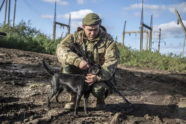 A Ukrainian soldier pets a dog in the recently retaken area close to Izium, Ukraine, Wednesday, September 21, 2022. (Photo by Oleksandr Ratushniak/AP Photo)
