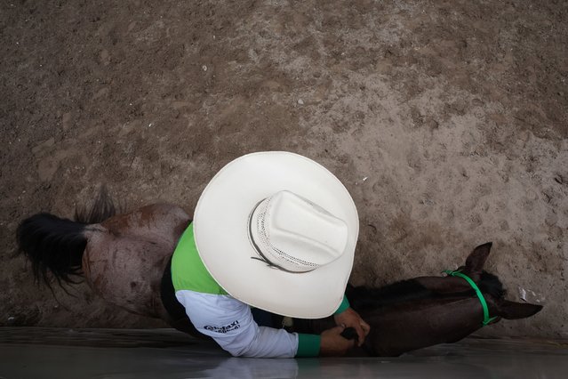 A cowboy trains horses at horse farm, in Villavicencio, Meta, Colombia on February 24, 2025. A deep-rooted tradition in the eastern plains of Colombia that is more than a sport; it is a way of life in Villavicencio, Meta, Colombia.Generations of Llaneros, Colombia's cowboys, have perfected this equestrian discipline that showcases not only the bond between rider and horse, but also the cultural heritage and enduring spirit of the Llaneros. takes place on sprawling horse ranches where the bond between cowboy and horse is nurtured from an early age. This unique blend of skill, tradition and rural life continues to attract participants and visitors alike, preserving a legacy that defines the identity of the Colombian plains. (Photo by Juancho Torres/Anadolu via Getty Images)