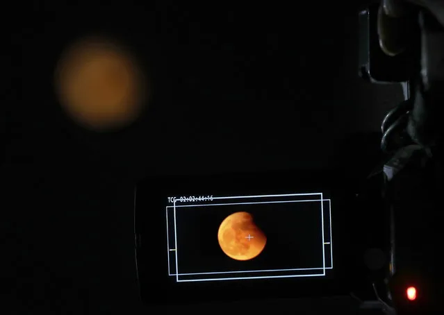 A videographer shoots a Luner full eclipse in Kolkata, India, 08 November 2022. A full moon at its closest distance to the earth with the moon appearing larger than usual. (Photo by Piyal Adhikary/EPA/EFE)