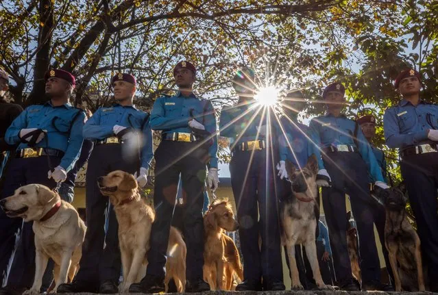 Police officers pose with canine unit dogs during dog worship day, a part of the Diwali festival, also known as Tihar, in Kathmandu, Nepal, 24 October 2022. Tihar is the second major festival for Nepalese Hindus and this year is held on 23-27 October. During the festival people worship crows, considered to be messengers of human beings; cows, incarnations of lord Laxmi (the goddess of wealth), and dogs, repaying the love towards man's “best friend”. (Photo by Narendra Shrestha/EPA/EFE)