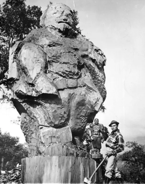 Paul Bunyan Comes To Lift. A carving of Paul Bunyan and his Blue Ox, said to be the world's largest carving from a single piece of wood, takes shape under the ax and chisel of sculptor Carrol Barnes in the foothills leading to Sequoia National Park near Vasalia, Cal. Barnes holds 40-inch model for his carving, & which is being cut from a 25-foot log of sequoia. May 18, 1942. (Photo by New York Post/Photo Archives, LLC via Getty Images)