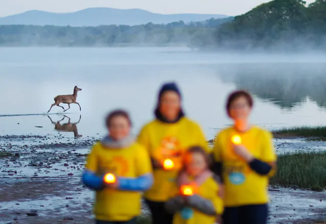 A deer canters past participants in the Darkness into Light event in Killarney, Co Kerry, Ireland on May 7th, 2022. The annual pre-dawn walk raises funds for Pieta, a charity that supports people who are in suicidal distress or engage in self-harm, as well as families affected by suicide. All counselling sessions and other services are provided free of charge. (Photo by James Crombie/INPHO)
