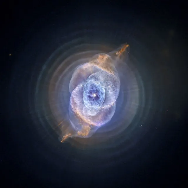 This NASA handout shows an optical image of NGC 6543 from the first systematic survey of such objects in the solar neighborhood made with NASA's Chandra X-ray Observatory. A planetary nebula is a phase of stellar evolution that the sun should experience several billion years from now, when it expands to become a red giant and then sheds most of its outer layers, leaving behind a hot core that contracts to form a dense white dwarf star.  (Photo by Reuters/NASA/STScI)
