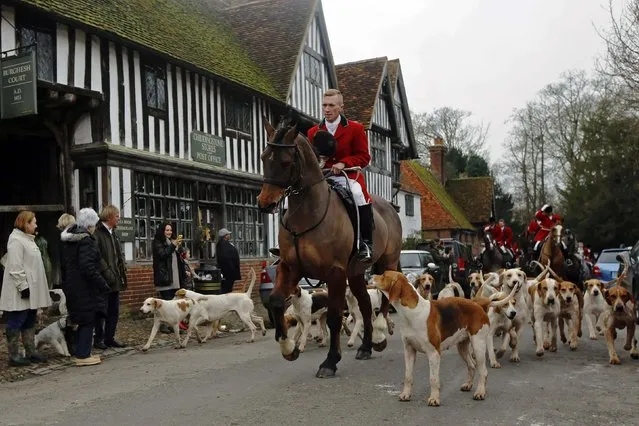 Members of the Old Surrey Burstow and West Kent Hunt ride with hounds during the annual Boxing Day hunt through the village of Chiddingstone, south east England December 26, 2014. (Photo by Luke MacGregor/Reuters)