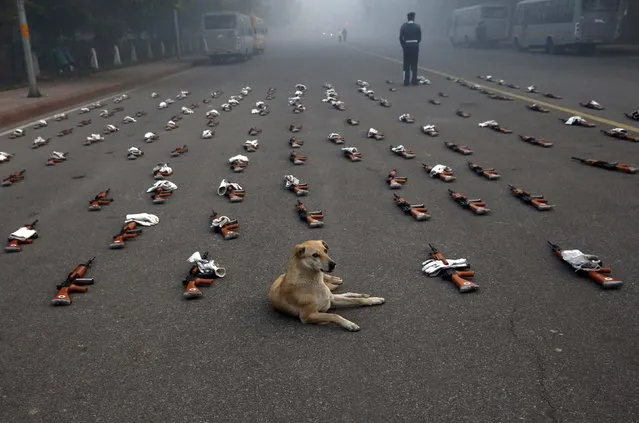 A stray dog sits between guns and gloves belonging to Indian Air Force soldiers during a break of a rehearsal for the Republic Day parade on a cold and winter morning in New Delhi December 30, 2014. (Photo by Ahmad Masood/Reuters)