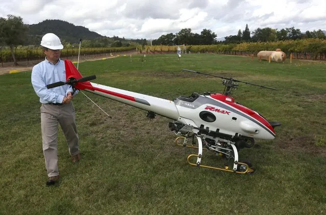 In this October 15, 2014 file photo, Katsu Nakamura, sky division manager for Yamaha USA, moves the RMax unmanned helicopter into position before a demonstration of its aerial application capabilities at the University of California, Davis' Oakville Station test vineyard in Oakville, Calif. Researchers at UC Davis have been studying the effectiveness of the drone's ability for spraying pest control and nutritional materials on the test vineyard in California's Napa Valley. (Photo by Rich Pedroncelli/AP Photo)