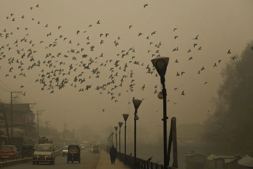 The Day in Photos – November 26, 2015