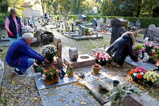 Local residents clean up the graves of their dog at the cimetiere des chiens (Cemetery of dogs) ahead of the commemoration of All Saints Day at the Montmartre cemetery in Asnieres, northern Paris, France, October 30, 2016. (Photo by Charles Platiau/Reuters)
