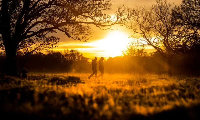 Two people walk through early morning frost during sunrise in Epping Forest, east London on November 23, 2020. (Photo by Victoria Jones/PA Images via Getty Images)