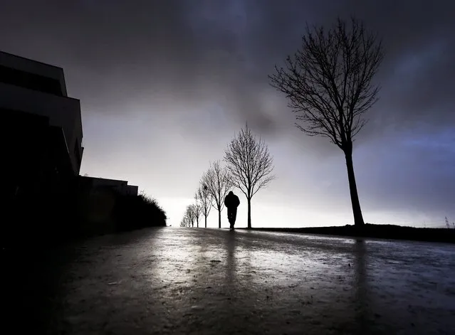 A man walks along trees in the outskirts of Frankfurt, Germany, on a rainy Monday, March 12, 2018. (Photo by Michael Probst/AP Photo)