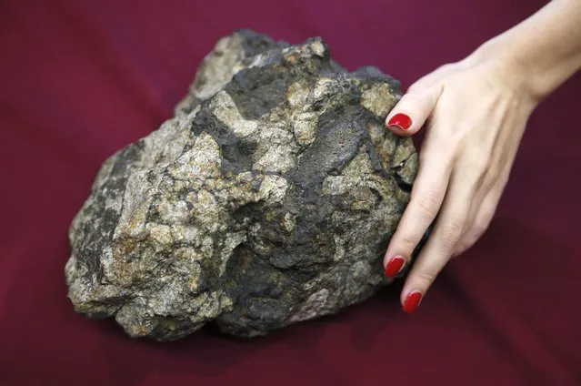 A women touches a fragment of Chelyabinsk meteorite with an approx. size of 30 by 40 cm and weighing about 8 kg at the Russian Geographical Society in Moscow, Russia 21 January 2015. The famous meteorite fragment of the Chelyabinsk meteor that reached the ground in the Russian Ural region in 2013 has been delivered to be presented at the Primordial Russia nature festival organized by the Russian Federation Council and the Russian Geographical Society. (Photo by Yuri Kochetkov/EPA)