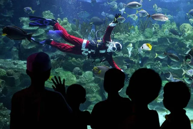 A diver wearing a Santa Claus outfit swims inside a fish-tank at the Aquaria KLCC in Kuala Lumpur on December 8, 2016. The scuba-diving Santa Claus is one of the prime attractions in conjunction with  Christmas festivities for visitors at the underwater park. (Photo by Manan Vatsyayana/AFP Photo)