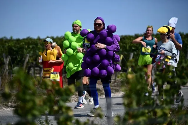 Participants wearing costumes take part in the Medoc marathon (Marathon des Chateaux du Medoc) near Pauillac, southwestern France, on September 2, 2023. The 37th edition of the 42.195km-long race takes place across vineyards of the Medoc region. The event is interspersed with attractions scattered along the course, which include local wine-tasting, and sampling delicacies such as oysters and “entrecote” steak. (Photo by Christophe Archambault/AFP Photo)