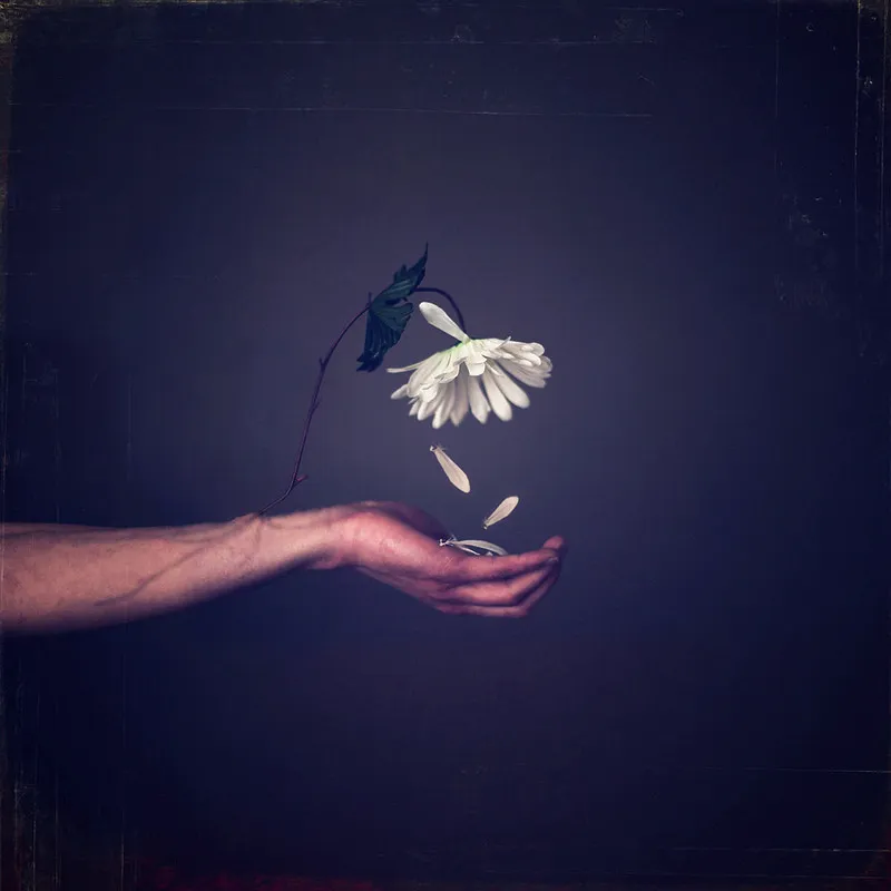 Photographers: Joel Robison Part 3