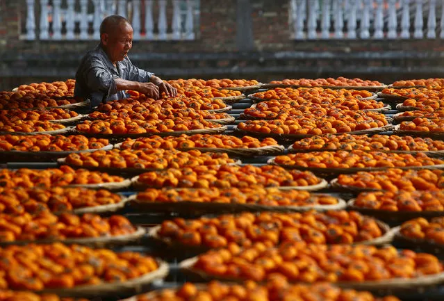 Persimmons dry on rooftops in Anxi county, Quanzhou, Fujian province, December 13, 2016. (Photo by Reuters/Stringer)