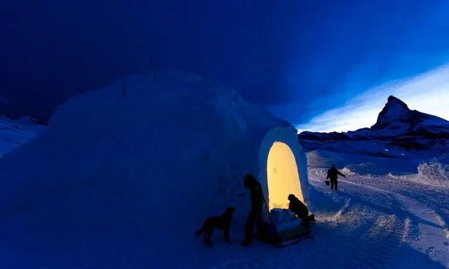 Workers are building the largest classic igloo with a diameter of 13 meters and a ceiling hight of 11 meters at the “Igloo village” (Iglu Dorf)in front of the famous Matterhorn mountain in Zermatt, Switzerland, early 29 January 2016. The hotel-igloo village made of snow and ice at 2'815 meters about sea level with a bar, a restaurant, bedrooms and wellness are celebrating their 20th anniversary. (Photo by Jean-Christophe Bott/EPA)