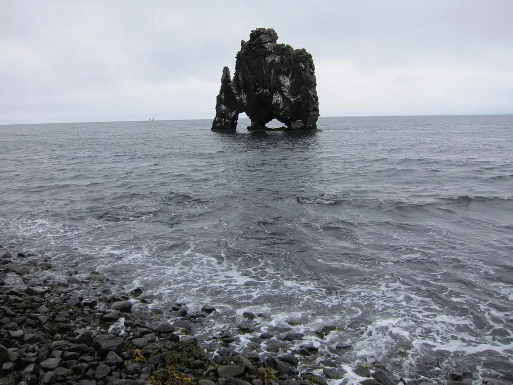 Icelandic Dinosaur – Hvítserkur