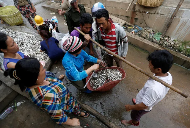 People buy fish to make Prahok, a popular fermented fish paste also known as “Cambodian cheese”, on the outskirts of Phnom Penh, Cambodia January 10, 2017. (Photo by Samrang Pring/Reuters)