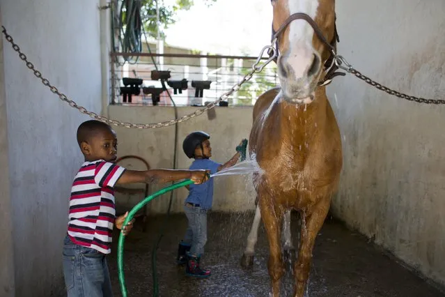 In this January 7, 2017 photo, Judeley Hans Debel, who uses a prosthetic right leg, bathes Tic Tac after riding her at the Chateaublond Equestrian Center in Petion-Ville, Haiti. Judeley runs as fast as his prosthetic leg can take him when he arrives where a riding session with his favorite horse is the highlight of his week. (Photo by Dieu Nalio Chery/AP Photo)