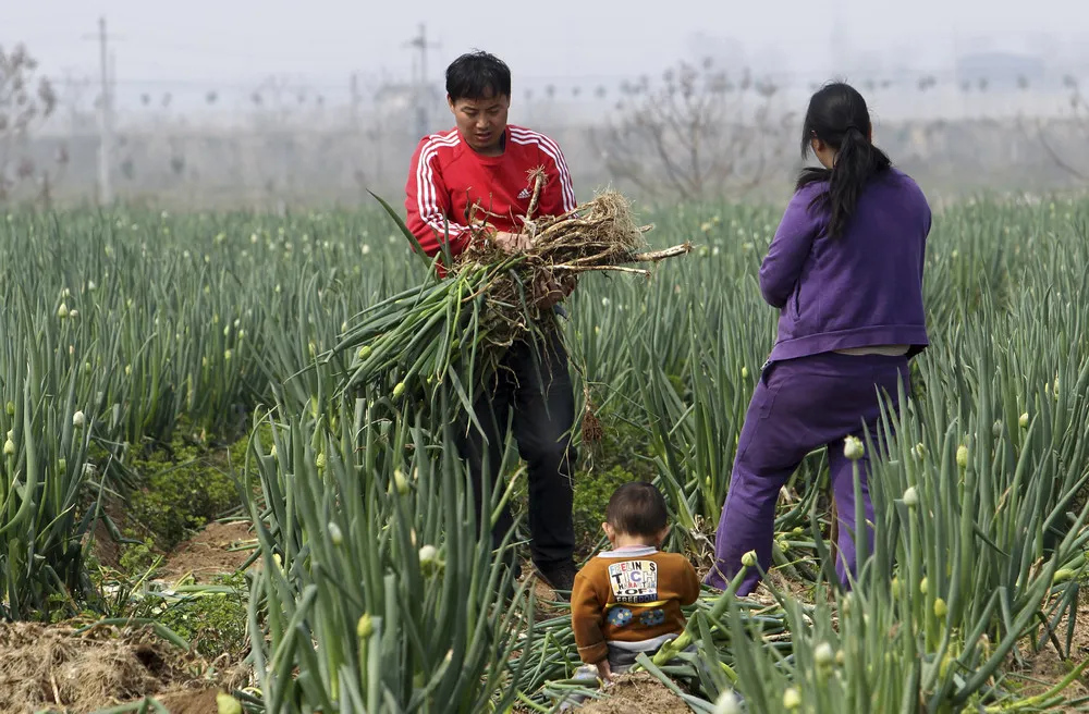 Daily Life in China