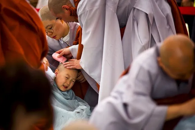 A Buddhist monk shaves the head of a novice monk during an inauguration ceremony at Jogye temple in Seoul, May 11, 2015. (Photo by Thomas Peter/Reuters)