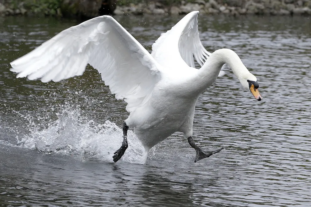 Simply Some Photos: Animals